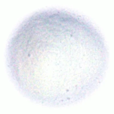 woolery20260929192119912185